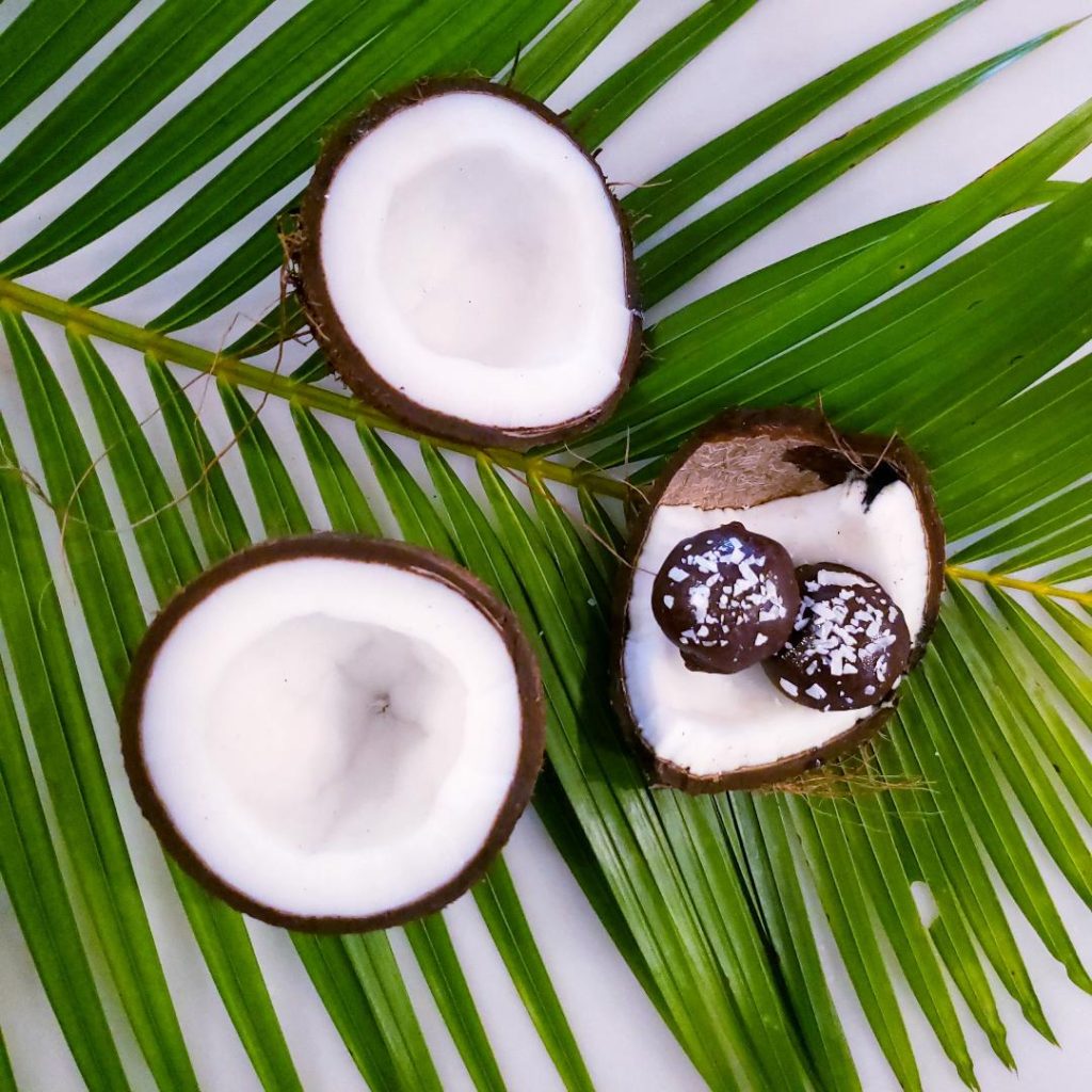 functional image palm frond on white marble with three halves of a ripe cracked coconut on top one coconut has two dark chocolate coconut rum truffles with flaked coconut cradled in the coconut