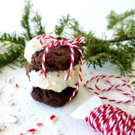 functional image peppermint mocha cookies three stack with bakers twine and a christmas tree branch and crushed candy canes and dipped in white chocoalte