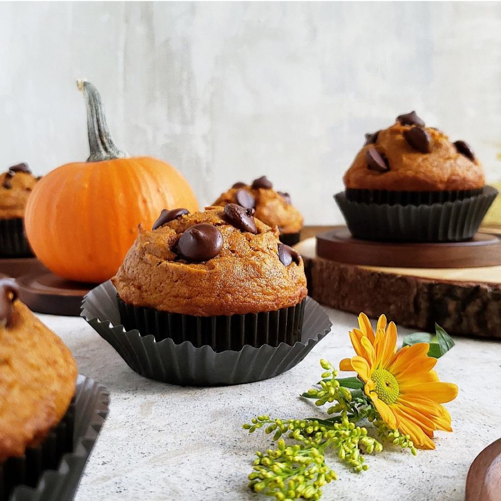 functional image pumpkin chocolate chip muffins side view with wooden coasters and a mini pumpkin