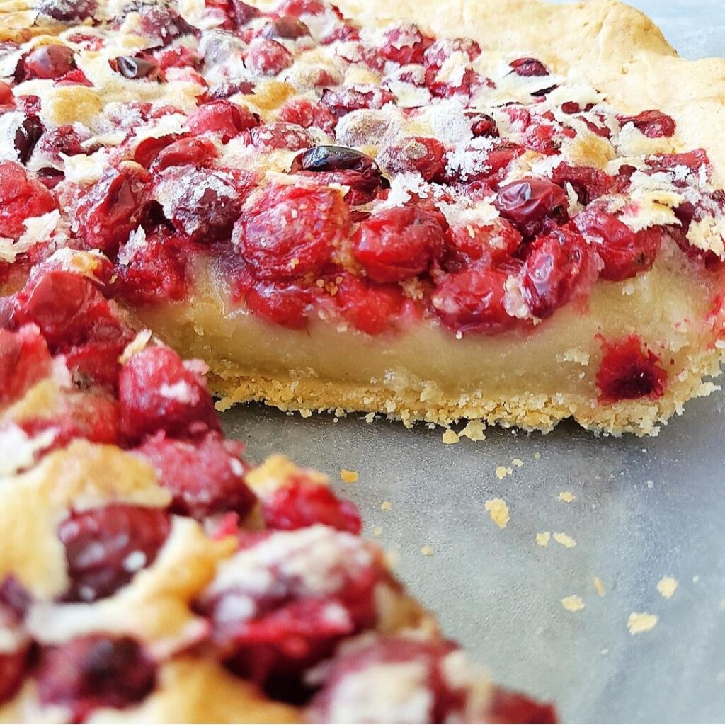 functional image cranberry custard pie side view of pie layers photographed in the pie plate layer are crust custard and cranberry topping
