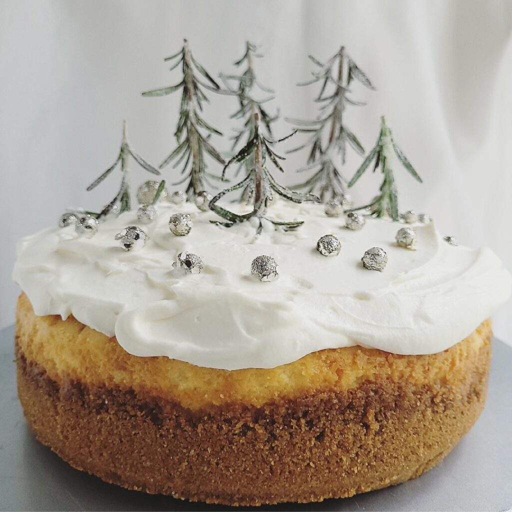 white chocolate christmas cheesecake with white chocolate whipped cream close up decorated with sugared rosemary trees and tiny silver balls