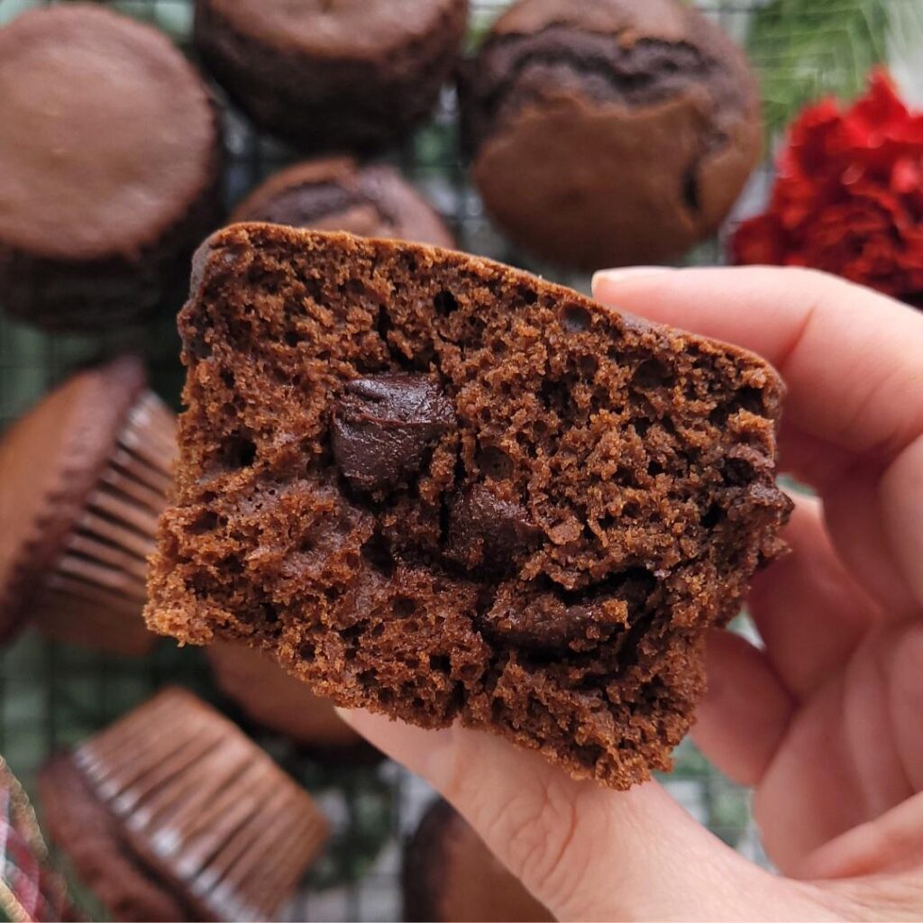 chocolate gingerbread muffins. close up view of a hand holding a muffin that has been cut in half so you can see the inner crumb and chocolate chips.